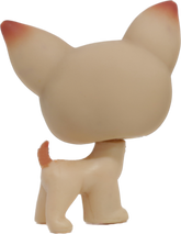 #0001 Chihuahua